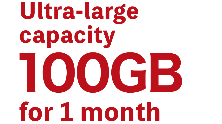 Ultra-large capacity 100GB for 1 month